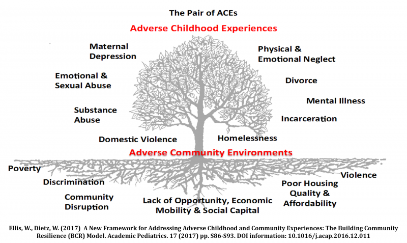 The Pair of ACEs graphic